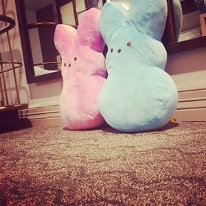 Meet your Posher, Stefanie